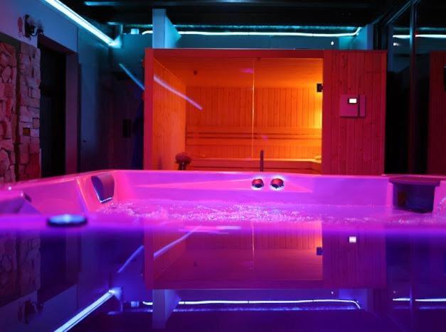 Hanu Lui Gica Spa Satu Mare Luaran gambar