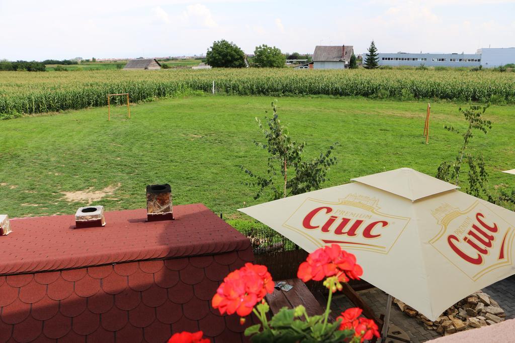 Hanu Lui Gica Spa Satu Mare Luaran gambar